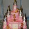 Pink and Silver Castle