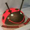 Ladybird