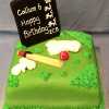 Cricket Score